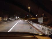 Es dürfte ein Wolf gewesen sein, der am Donnerstag einem Urner vor die Kamera lief. (Bild ZVG)