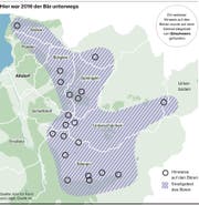 Hier war der Bär unterwegs. (Bild: Amt für forst und Jagd/ Isi)
