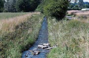Der Bach Bünz führt viel weniger Wasser, als in dieser Jahreszeit eigentlich normal wäre. (Bild: Stefan Kaiser (Muri, 17. Juli 2017))