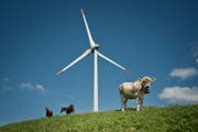 So wie auf Lutersarni im Entlebuch (Bild) soll im Gebiet Gibel auf Lungerer Boden eine Windkraftanlage entstehen. (Bild: Pius Amrein (Entlebuch, 25. August 2015))