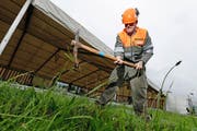 Ein Vertreter vom Zivilschutz baut die Infrastruktur auf. (Bild: Stefan Kaiser / Neue ZZ)