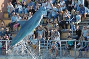 Delfin fängt einen Ball während einer Show in einem französischen Meerespark. (Bild: Loic Venance/AFP (Port-Saint Père, 14. Oktober 2017))