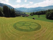 Das Meditationsbild von Bruder Klaus auf der ökologischen Wiese der Familie von Deschwanden. (Bild: Peter von Deschwanden/PD)