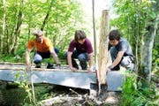 Unter der Leitung von Ruedi Reinhard (links) legen die Lehrlinge beim Wanderweg Hand an. (Bild Corinne Glanzmann)