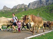 Mit viel Freude sind die Älplerfamilien mit ihren Kühen wieder zurück auf den Urnerboden gekommen. (Bild: Franz Imholz (26. August 2017))