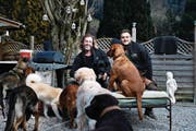 Nici Achermann (rechts) hat vor einem Jahr begonnen, bei Adrian Blättler (links) zu arbeiten. (Bild: Stefan Kaiser (Morgarten, 9. Januar 2018))