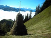 Eine Triste am Stanserhorn. (Bild Monika von Ah Binder/landwirtschaft.ch)