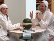 Diese zwei Buzzfeed-Mitarbeiter versuchten fast eine Stunde lang eine Wassermelone zum Explodieren zu bringen – und die Leute schauten von Zuhause aus zu. (Bild: screenshot buzzfeed)