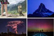 Ein Murmeli, eine Lichtshow am Matterhorn, Nordlichter und ein Vulkan: Spektakuläre Bilder 2015. (Bilder Keystone)