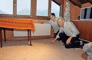 Hunderte der Insekten sind bereits gestorben und liegen auf dem Boden. (Bild: Adrian Venetz / OZ)