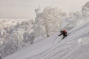 Tiefschnee und magische Landschaften: Roger Gfrörer im Skigebiet Kiroro in Japan. (Bild: Marco Enderlin (14. Januar 2013))