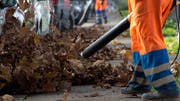 Das Herbstlaub wird mit Laubblaesern weggefegt am St. Alban-Rheinweg im Breite-Quartier in Basel, am 20. November 2014. (KEYSTONE/Georgios Kefalas) (Bild: GEORGIOS KEFALAS (KEYSTONE))