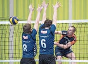 Punktet gegen Münchenbuchsee mit einem wuchtigen Smash: der Malterser André Kretschmar. Bild: Pius Amrein (Malters, 11. Februar 2017)