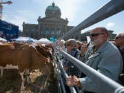 Das Parlament meint es gut mit den Bauern: Der Ständerat will für die Landwirtschaft mehr Geld ausgeben als der Bundesrat. (Archivbild) (Bild: KEYSTONE/ANTHONY ANEX)