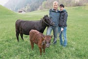 Wisi und Angelika Zgraggen halten in Erstfeld eine Dexter-Herde mit rund 130 Tieren. (Bild: Christoph Hirtler, Altdorf)