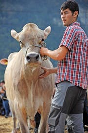 Ein letztes Beruhigen vor dem grossen Auftritt im Ring.