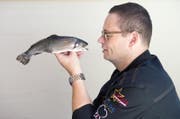 Werner Häcki vom Hotel Sternen in Buochs liebt Fische, die Jagd und die Metzgete. (Bild: PD)
