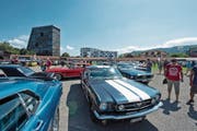Gegen 1000 Fahrzeuge wurden für ihren grossen Auftritt gestern auf dem Areal der Stierenmarktstallungen auf Hochglanz poliert – die Besucher kamen in Scharen, um sich die amerikanischen Kultautos der Marken Mustang und Shelby anzusehen. (Bild: Maria Schmid (Zug, 5. August 2017))