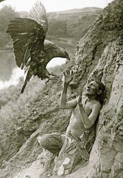 Ein Native American im Clinch mit einem Adler (Foto um 1900). Weit mehr als durch Raubvögel kamen Indianer aber durch Weisse in Bedrängnis. (Bild: Getty)