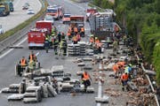 Ein Verkehrsunfall auf der Westautobahn (A1) bei Linz hat tausenden Huehnern unverhofft die Freiheit geschenkt und Chaos im Frühverkehr ausgelöst. (Bild: Keystone)