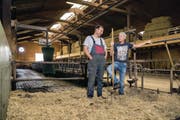 Der Kuhstall leert sich. Beat Schaller (links) und Philipp Kaufmann wollen ihre Betriebsgemeinschaft auf Schweinemast umstellen. (Bild: Philipp Schmidli (Buchs, 2. August 2017))