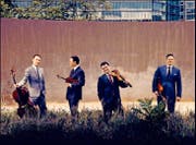 Vom Licht ins Dunkel: Das Jerusalem-Quartett spitzt musikalische Gegensätze auch visuell zu. (Bild: Marco Borggreve/PD)
