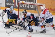 Pius Suter, rechts, im Spiel gegen Torhüter Tobias Stephan, links, und Johan Morant, mitte, von Zug. (Bild: Urs Flüeler/Keystone)