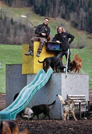 Nici Achermann (links) hat vor rund einem Jahr bei Adrian Blättler zu arbeiten begonnen. Heute ist er fest angestellt in der Hundepension. (Bild: Stefan Kaiser (Morgarten, 8. Januar 2018))