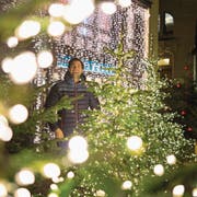 Mario Gyr posiert mit Christbäumen nahe der Reuss. Heute feiert er im kleineren Rahmen. (Bild: Roger Grütter (Luzern, 13. Dezember 2016))