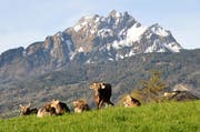Von der Oberrüti hat meinen traumhaften Ausblick auf den Pilatus. (Bild: Leserbild: Niklaus Rohrer)