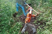 Der Viehweg führt durch steiles Waldgelände. (Bild: PD)