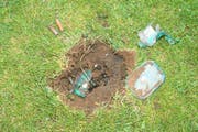 Der Tatort Rütli: Dieses Loch riss die Detonation in den Boden. Verletzt wurde niemand. (Bild: Keystone/Kantonspolizei Uri)