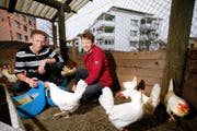 Bauern in immer engeren Verhältnissen: Richard Vogel und seine Frau Lisbeth. (Bild Christof Borner-Keller)