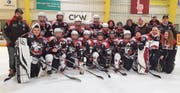Die harte Arbeit hat sich für die Frauen des EHC Sursee ausbezahlt. (Bild: PD)