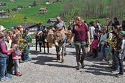 Mit Palmzweigen und Eseln: Die Kinder und Erwachsenen machten sich auf den Weg, um dem Geheimnis von Tod und Auferstehung näherzukommen. (Bild: Birgit Scheidegger (Lungern, 14. April 2017))