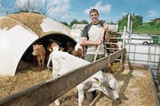Der Luzerner Landwirt Stefan Hofer (45) will sein Glück in der Slowakei versuchen, weil er in der Schweiz keinen Hof findet. (Bild: Corinne Glanzmann (Römerswil, 16. Juni 2017))