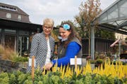 Gerda Lustenberger (links) zusammen mit Gärtnerei-Mitarbeiterin Selina Achermann. Bild: Marion Wannemacher