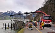 Die Feuerwehr setzte ihren Lastwagenkran ein. (Bild: Geri Holdener, Bote der Urschweiz)