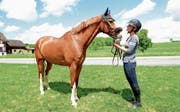 Larina Lenz mit ihrem 16-jährigen Wallach Little White Sock. (Bild: Michael Wyss (Hildisrieden, 13. Mai 2017))