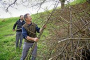 Marcel Odermatt (vorne) und Heinz Amstad bauen einen Unterschlupf für ein Wiesel (Bild unten). (Bilder Corinne Glanzmann/ Susanne Heusser, PD)