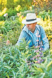 Remo Vetter auf seinem täglichen Rundgang durch den Garten. (Bild: Dave Brüllmann/AT Verlag)