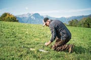 Bauer Hans Häcki rückt den Wühlmäusen mit Fallen auf die Pelle. (Bild: Pius Amrein (Sarnen, 27. September 2017))