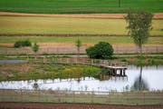 Noch ist der neue Bibersee beim oberen Abschnitt des Tobelbachs eingezäunt. (Bild Maria Schmid)