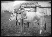 Bauer Stickiger steht dem Fotografen um 1900 Porträt mit der schönsten Kuh im Stall. (Bild: Michael Aschwanden/Staatsarchiv Uri (um 1900))