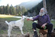 Bauer Sepp Arnold und seine Geiss. (Bild: Urs Hanhart (14. März 2017))
