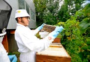 Hampi Krähenbühl kontrolliert seine Bienenstöcke in Fürigen. (Bild: Corinne Glanzmann)