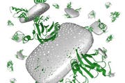 Wie ein Schwamm saugt die RNS mehrere Proteine (grüne Fäden) auf. (Bild: Illustration Lukas Zimmerli)