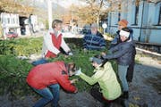 Der Pfarreirat von Sachseln legt beim Aufbau des Adventskranzes gleich selber Hand an. (Bild: Matthias Stadler (Sachseln, 27. November 2017))