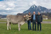 Kantonalschwingest NW und OW 2018 2. Preis, von links. .: Rind Alma, Besitzer Walter von Wyl, Kägiswil, Züchter Jost von Wyl, Kägiswil und Michael Lienert von der Spenderfirma von Holzen Immobilien, Sarnen (Bild: PD (Sarnen, 16. März 2018))
