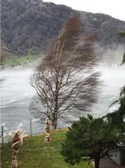 Der Sturm peitscht bei Arth über den Zugersee. (Bild: Leserbild Patrik Schär)